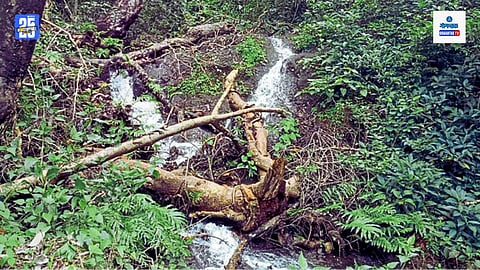 Bicholim Waterfall