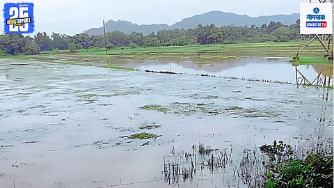 Shirgao Paddy Farming