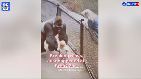 Viral Video