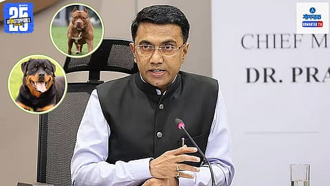 Aggressive Dogs Ban In Goa