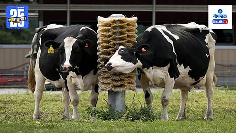 Non Veg Milk Controversy