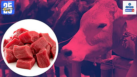 Beef Smuggling
