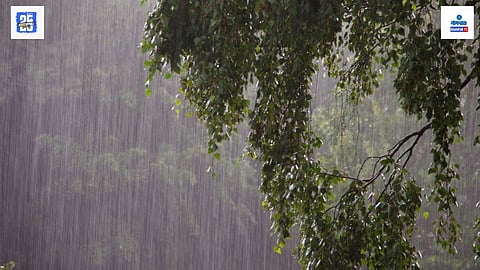 goa monsoon news