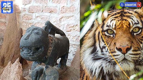 Tiger worship traditions in Goa 