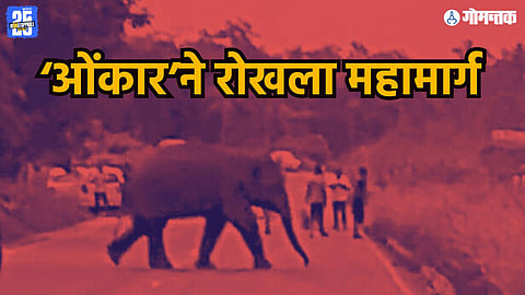 Omkar elephant Mumbai Goa highway