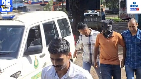 Mastermind Arrested 