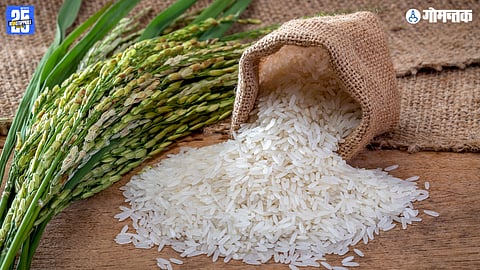 SPPU Rice Research