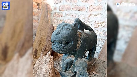 Goa tiger symbolism