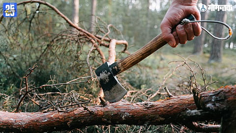 Tree Cutting