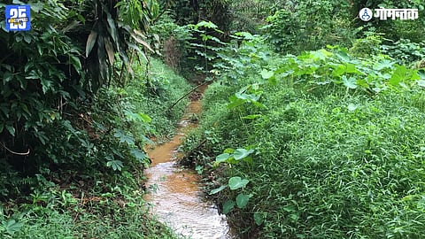 Sattari Masorde