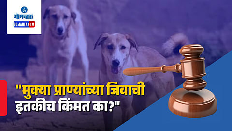 Goa Court