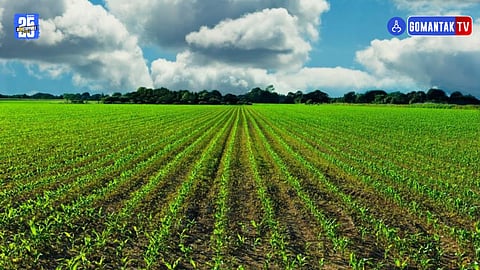 Goa Farming