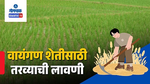Goa Kas Farming