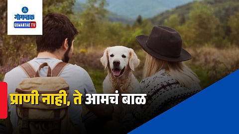 Dog Viral Video