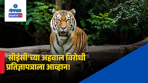 Goa Tiger Reserve