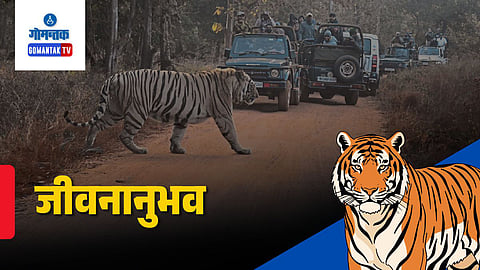 Tiger Conservation