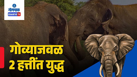 Bahubali vs Ganesh elephant fight