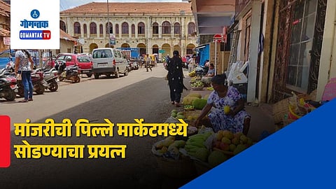 Margao Market