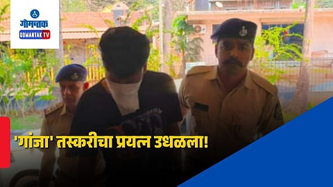 Goa Drugs Case