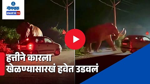 Viral Video