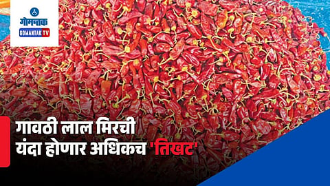 Goa Local Red Chili Prices