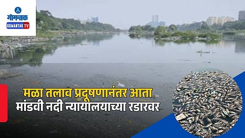 Goa Mandovi Pollution