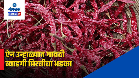 Gaunti Byadgi Chilli Prices