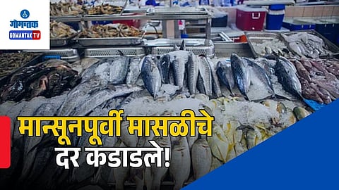 High Fish Rates In Goa
