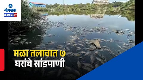  Mala Lake Fish Mortality Case