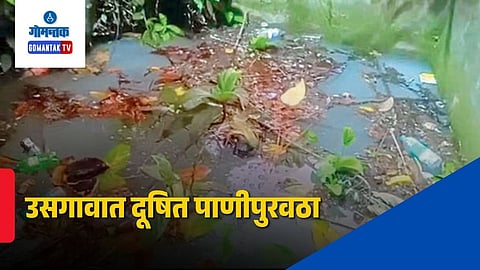 Usgao Water Issue