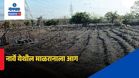 Narvem goa cashew plantation fire