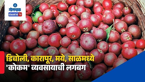 Kokum production