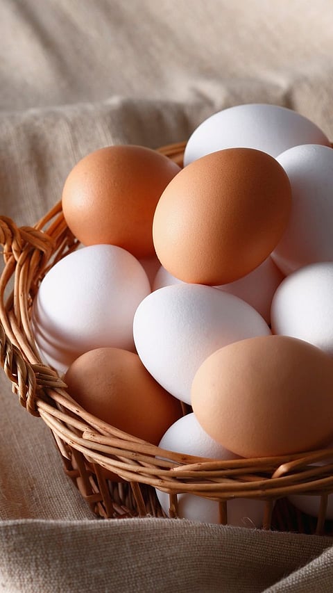 Egg Yolk Benefits