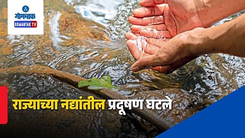 Goa river pollution
