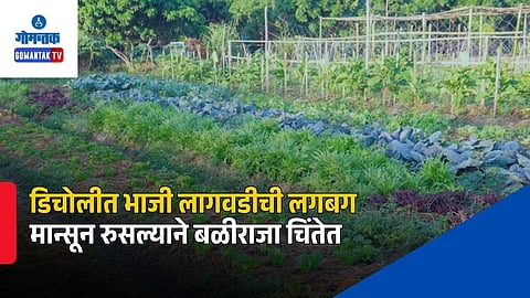Goa Monsoon Farming