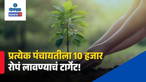 Goa Harit Goa sapling Plantation