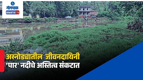 Goa River Pollution