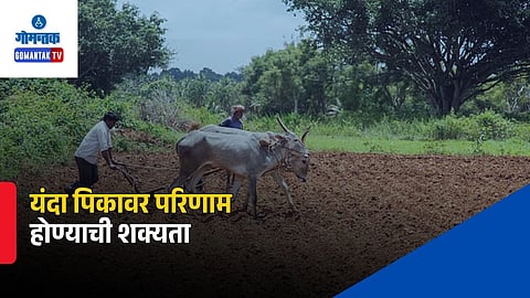  Goa Fertilizer Shortage