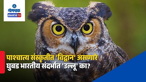 owl symbolism in different cultures