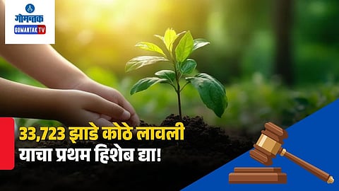 goa tree plantation