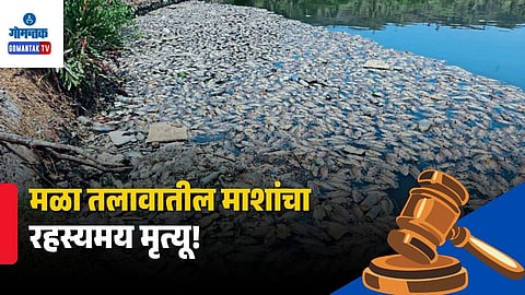 Mala Lake Pollution case