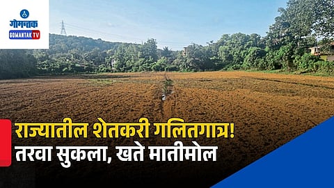 Goa Agriculture