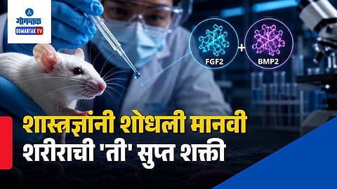Human Organ Regeneration Scientific Breakthrough