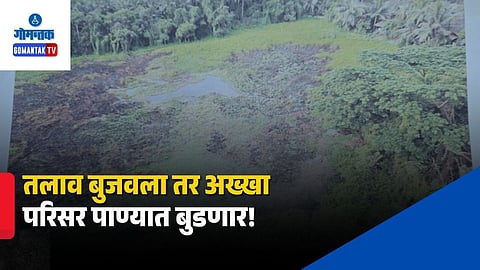 Davorlim Lake Land Conversion