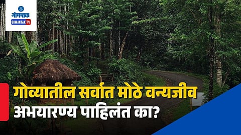 Bhagwan Mahavir Wildlife Sanctuary