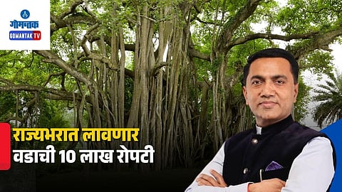 Goa Banyan Plantation