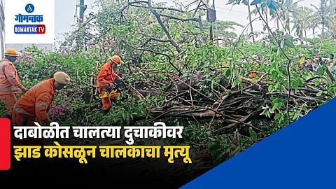 Chikhali Kuththali Highway Tree Fall