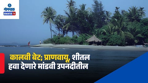  Goa Kalvi Island