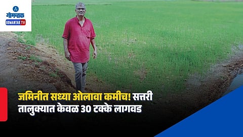 Sattari Paddy Farming