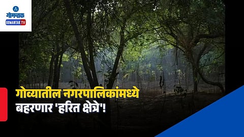 Goa Urban Green Spaces